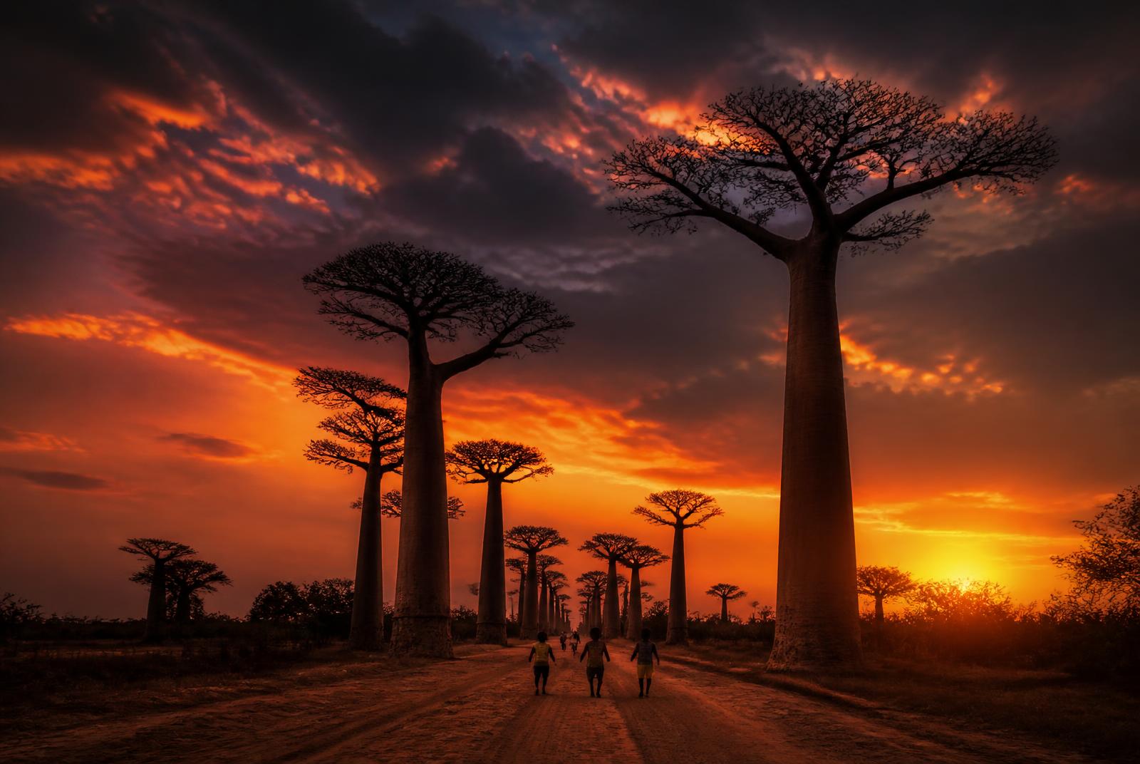 Madagascar